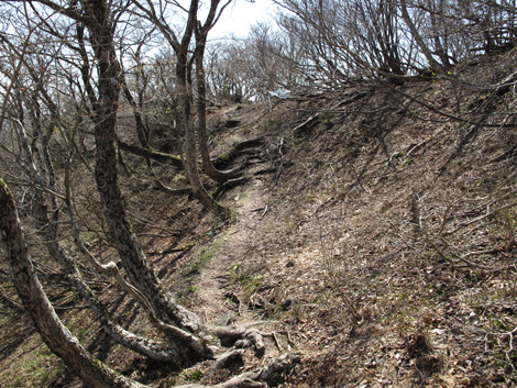 20140502hike (277)